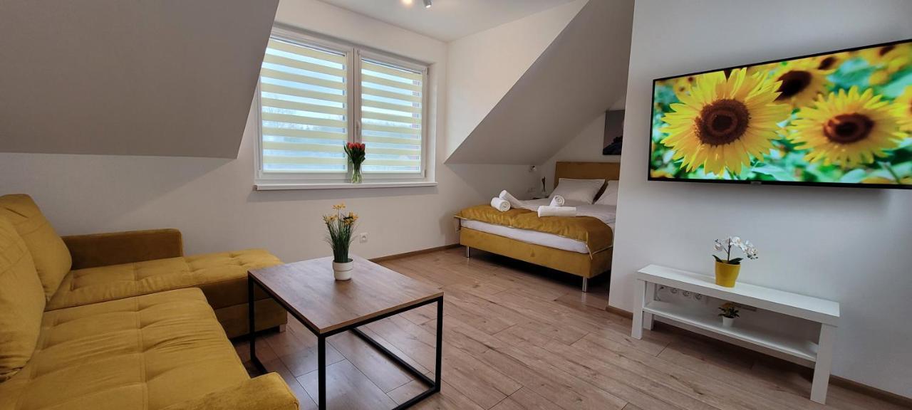 Kolorowe Cieplice - Apartamenty Z Widokiem Na Karkonosze Еленя-Гура Экстерьер фото
